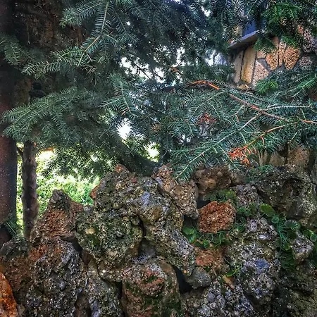 Anemoessa Synikia Mesi Trikalon